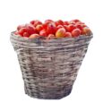 Applecart basket of tomatoes 1500-01-1528x1500