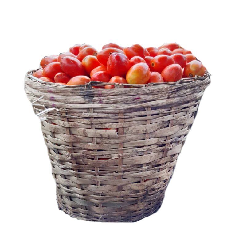 Applecart basket of tomatoes 1500-01-1528x1500