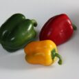 Green-Yellow-Red-Pepper-2009