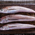 Freshly caught whole silver hake on a rustic wood table top.