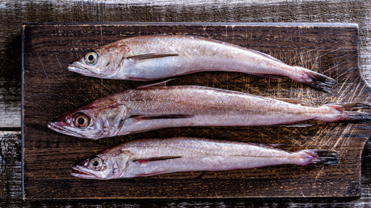 Freshly caught whole silver hake on a rustic wood table top.